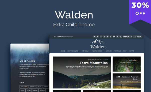 Walden Theme v1.2.3 [Wp Zone] - 简约优雅的WordPress主题