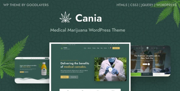 Cania v1.0.3 大麻医疗 WordPress 主题