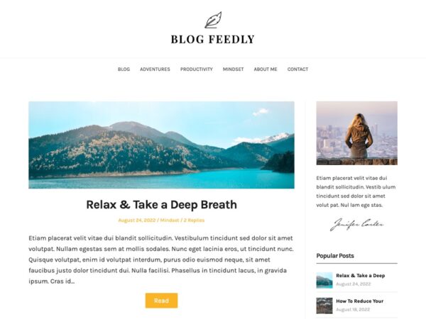 Blog Feedly v121.5 [Superbthemes] - 响应式博客WordPress主题