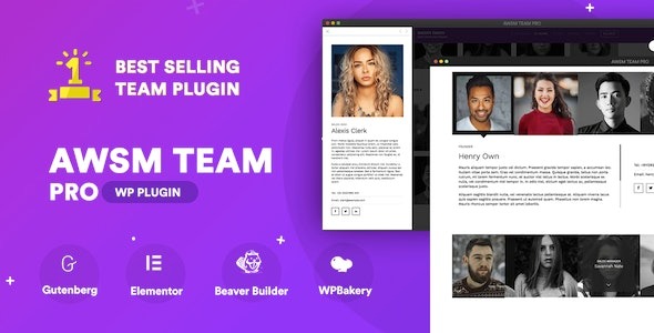 The Team Pro v1.11.2 Team Showcase WordPress插件 - 专业团队展示插件