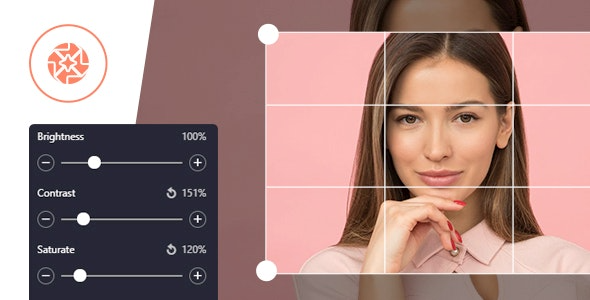 ProVision Image Editor for WordPress / WooCommerce with Folders File Manager v1.0.0 - WordPress和WooCommerce图像编辑器与文件夹文件管理器