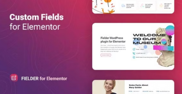 Fielder v1.1.2 WordPress Custom Fields for Elementor - WordPress自定义字段插件