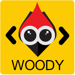 Woody Code Snippets Premium v2.5.1 - WordPress代码片段高级插件