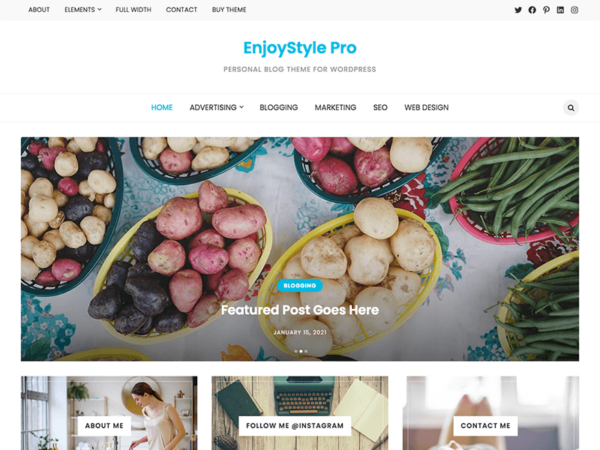 EnjoyStyle Pro (v1.0.4) - 专业时尚WordPress主题，打造优雅网站