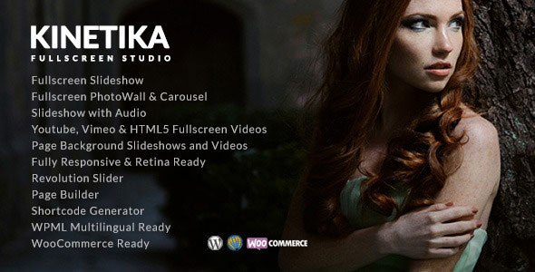 Kinetika 6.5.8 - 创意全屏摄影网站Wordpress主题