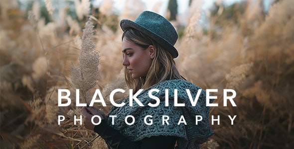 Blacksilver 8.9.6 - 摄影WordPress主题