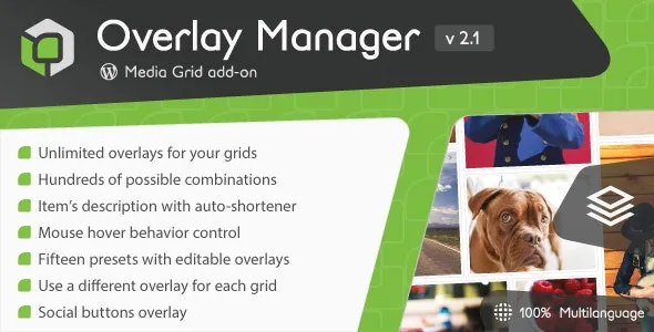Media Grid Overlay Manager Add-on v2.2.0 - 媒体网格覆盖管理插件