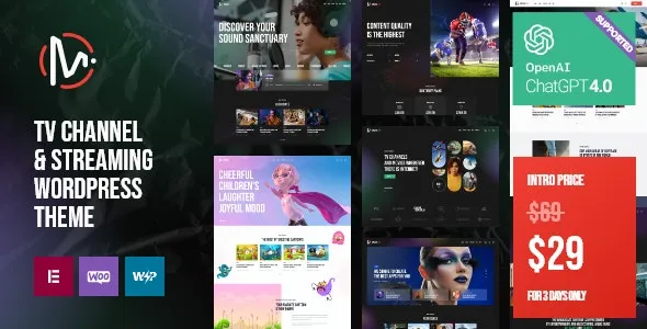 MediaFlex (v1.3) 电视频道与流媒体WordPress主题