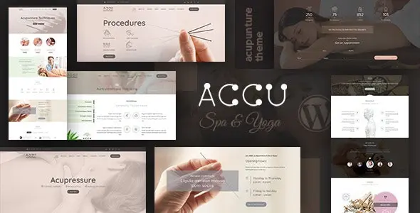 Accu 3.1 - 医疗保健按摩网站WordPress主题