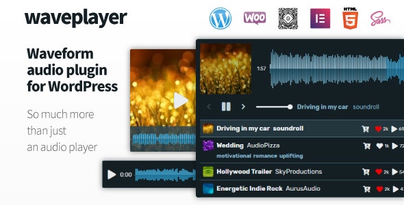 WavePlayer 3.2.0 - 波形音频播放器