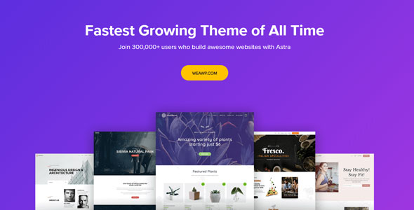 Astra Theme 4.0.2 开心版 - 可自定义的WordPress主题