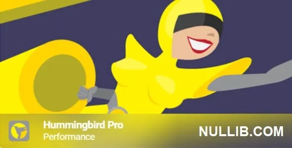 Hummingbird Pro 3.3.7 开心版 - WordPress性能插件