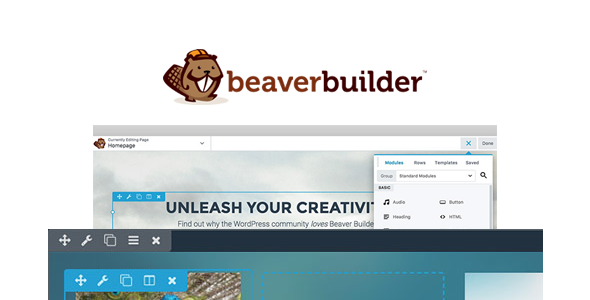 Beaver Builder Pro 2.6.0.3 - WordPress页面生成器插件